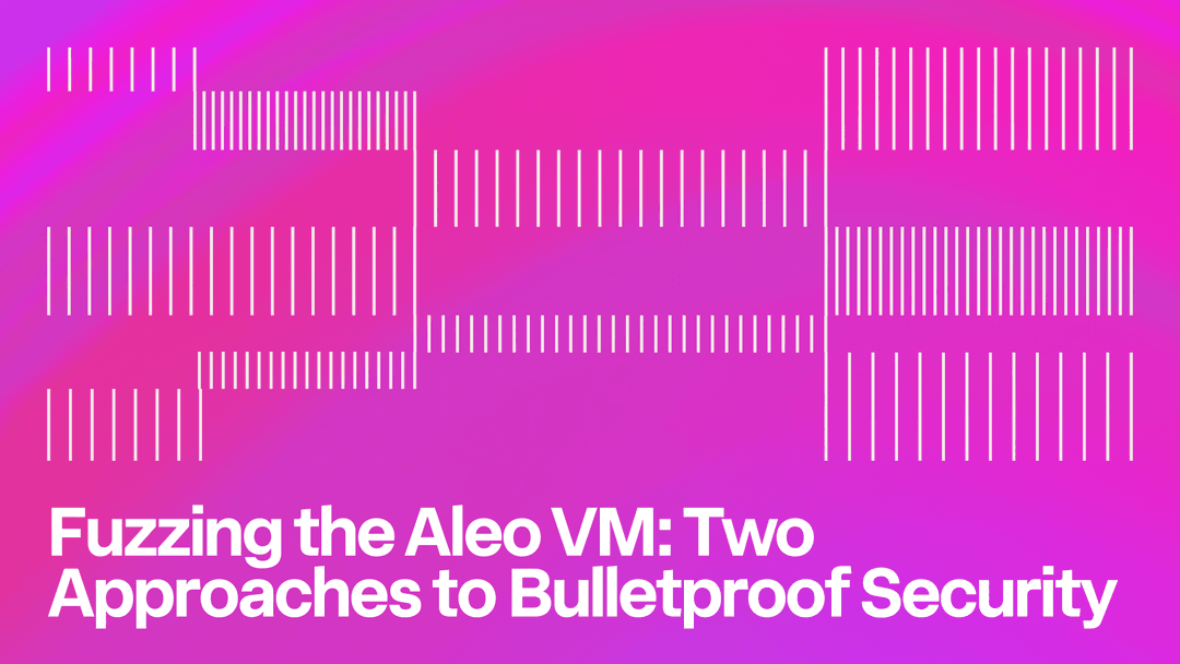 Fuzzing the Aleo VM: Two Approaches to Bulletproof Security